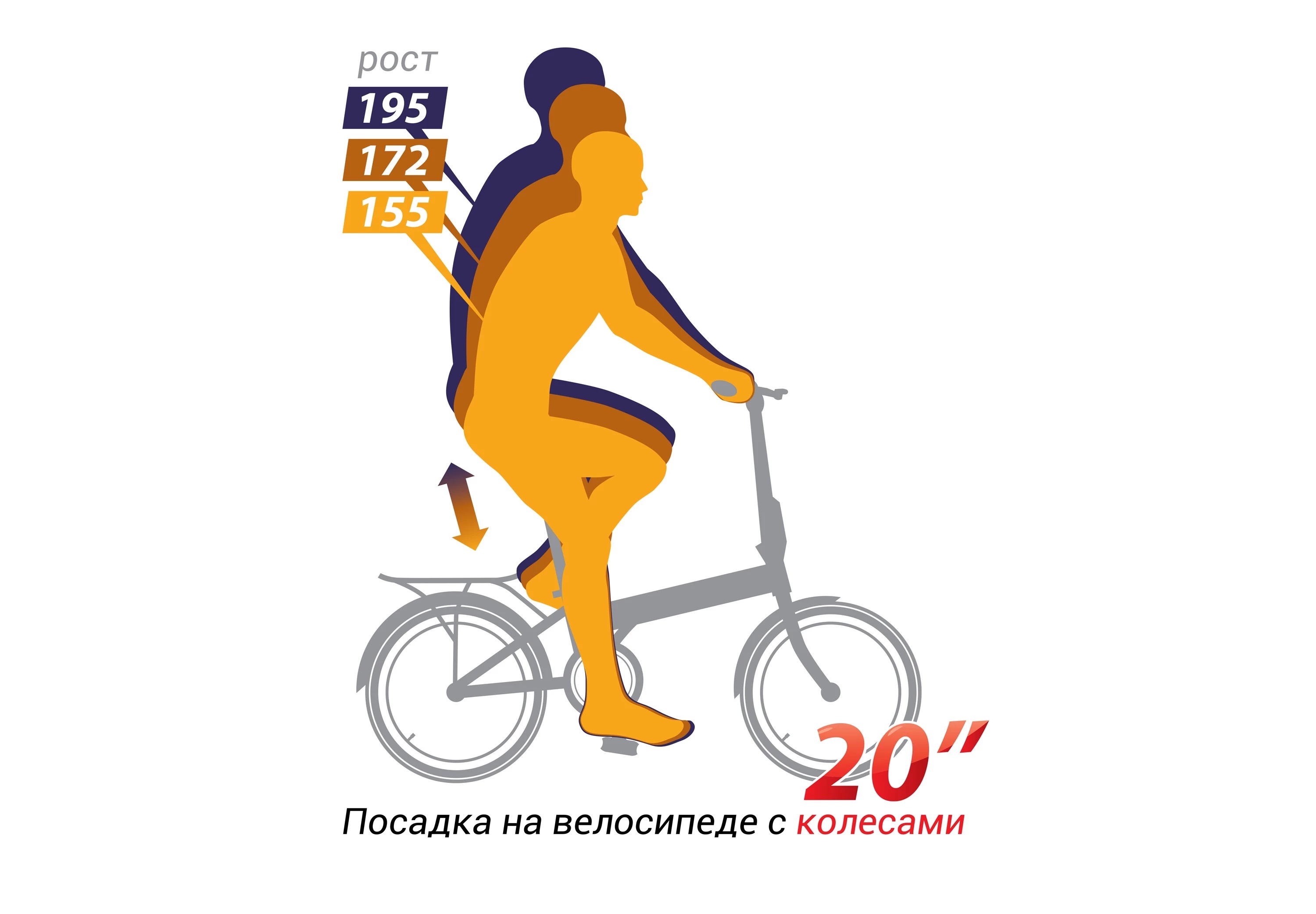 SHULZ Easy (бронза) SHULZ Easy (бронза)