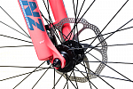 Stark Viva 27.3 HD (2024) Stark Viva 27.3 HD (2024)