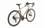 Stark Gravel 700.2 D (2023)