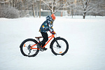 SHULZ Bubble 24 Race Plus