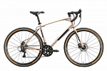 Stark Gravel 700.2 D (2023)