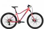 Stark Viva 27.3 HD (2024) Stark Viva 27.3 HD (2024)