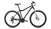 Forward SPORTING 29 2.0 disc (2021)