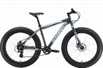 Stark Fat 26.2 D (2023)